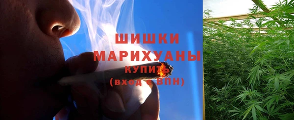 СК Гусь-Хрустальный