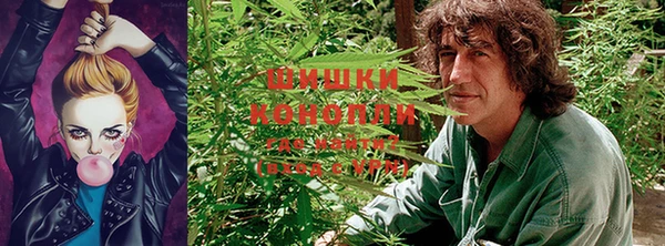прущие крисы Гусиноозёрск