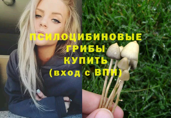 прущие крисы Гусиноозёрск