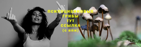 молекула духа Гусев