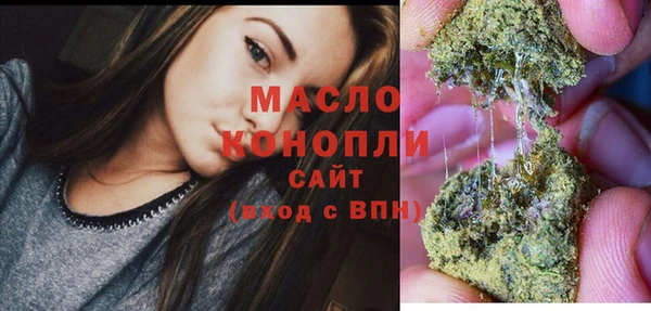 молекула духа Гусев
