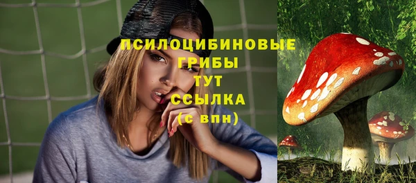 прущие крисы Гусиноозёрск