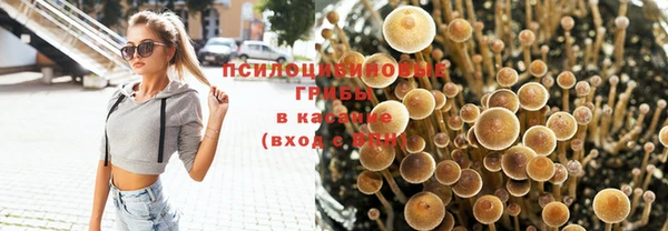 молекула духа Гусев