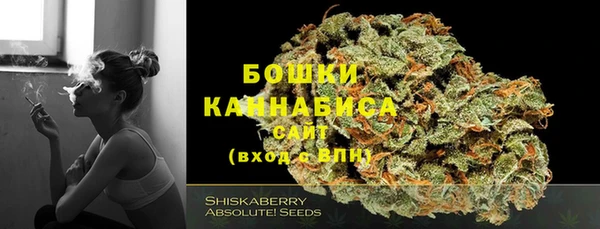 СК Гусь-Хрустальный