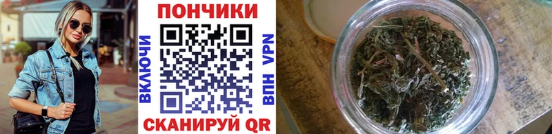 Каннабис планчик  Мезень 